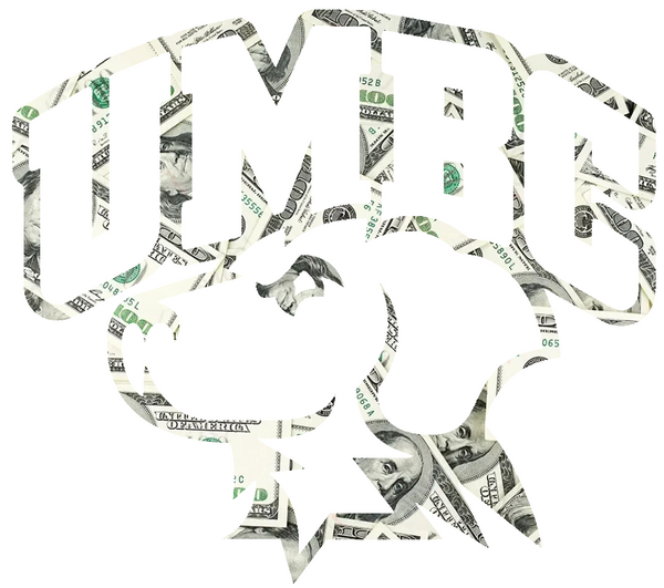 UMBC Retrievers Team Logo Money Print Premium DieCut Vinyl Decal PICK SIZE