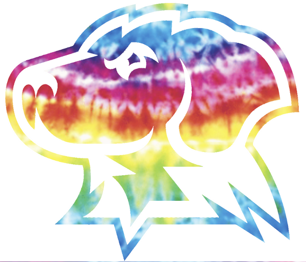 UMBC Retrievers Mascot Logo Crucial Catch Cancer Tie Dye Vinyl Decal PICK SIZE