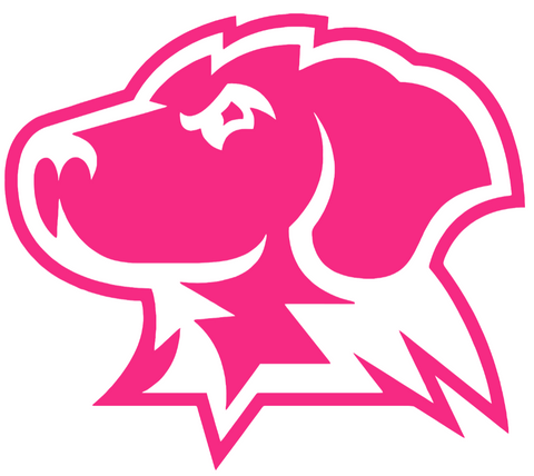 UMBC Retrievers HOT PINK Mascot Logo Premium DieCut Vinyl Decal PICK SIZE