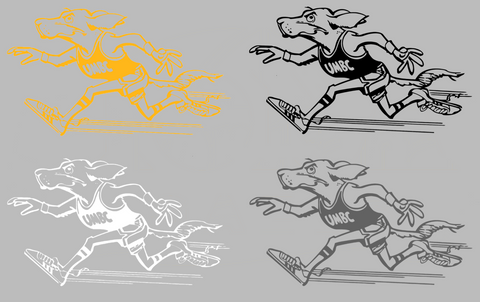 UMBC Retrievers Retro Throwback Logo Premium DieCut Vinyl Decal PICK COLOR & SIZE