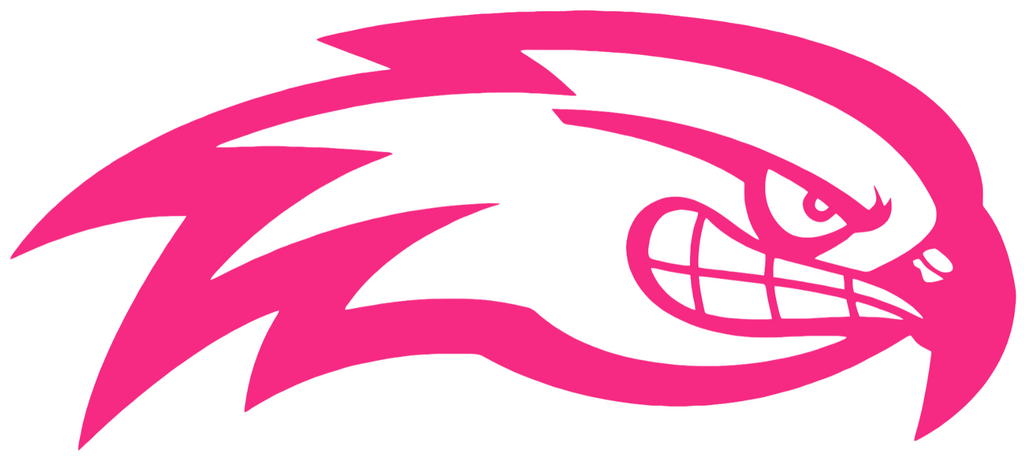 UMass Lowell River Hawks HOT PINK Team Logo Premium DieCut Vinyl Decal PICK SIZE