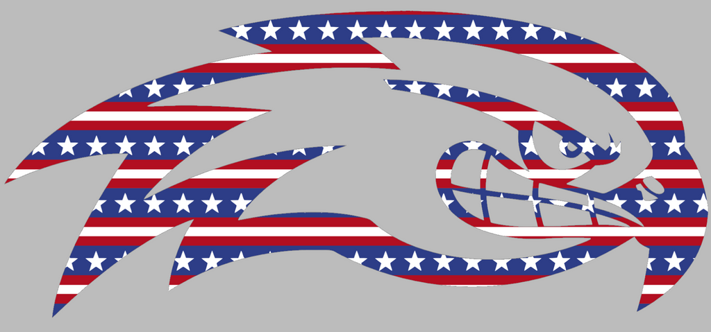 UMass Lowell River Hawks Team Logo Stars & Stripes USA American Flag Vinyl Decal PICK SIZE