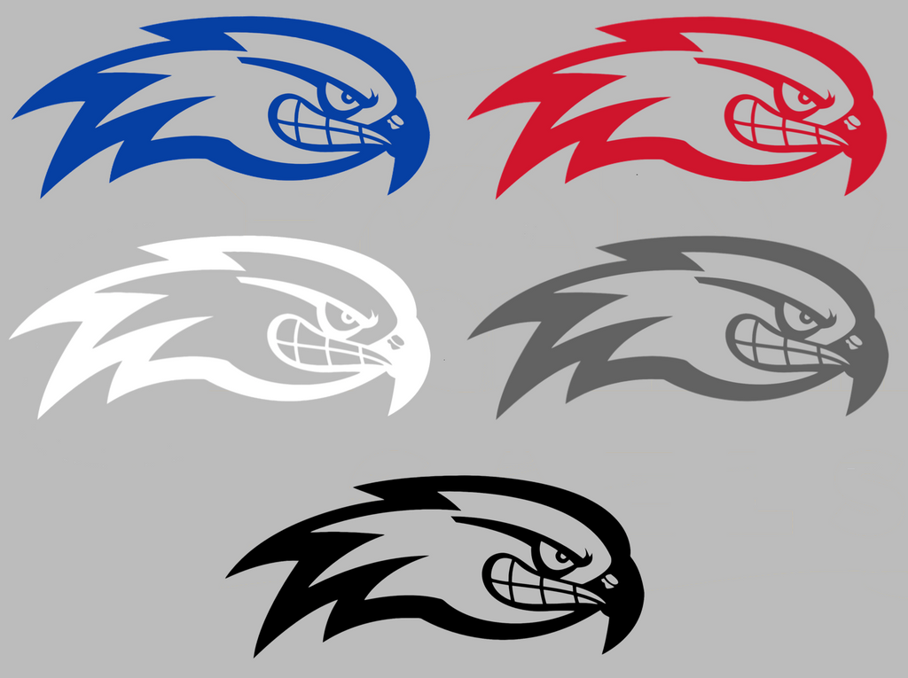 UMass Lowell River Hawks Team Logo Premium DieCut Vinyl Decal PICK COLOR & SIZE