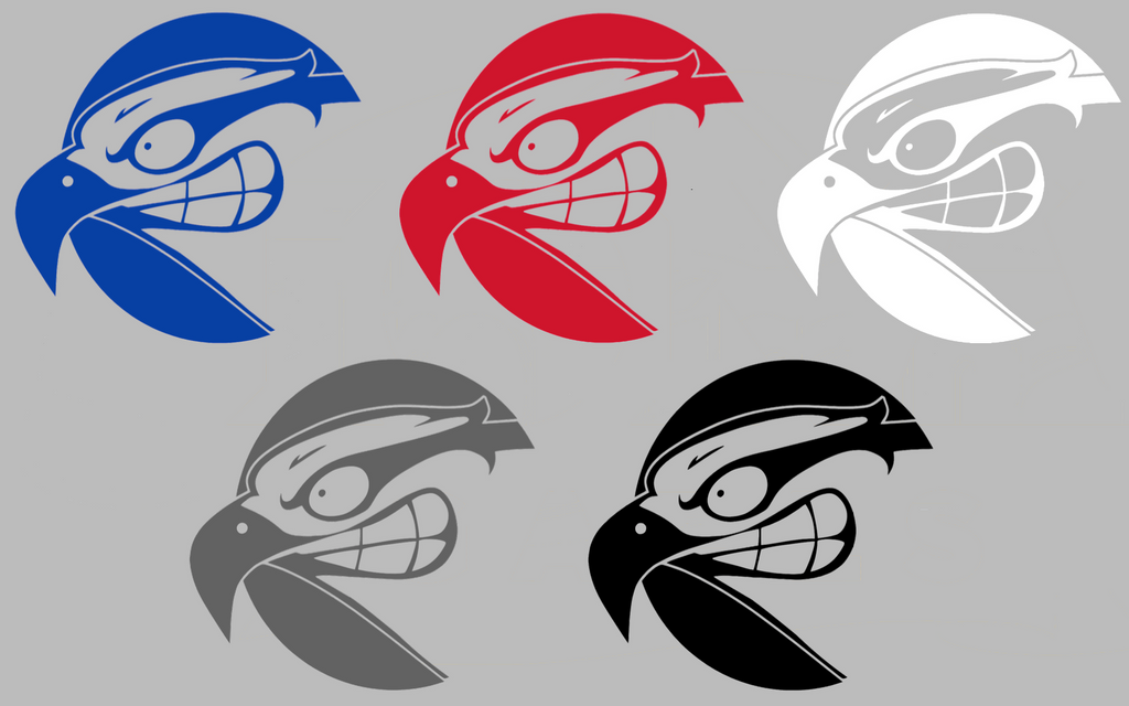 UMass Lowell River Hawks Retro Throwback Logo Premium DieCut Vinyl Decal PICK COLOR & SIZE