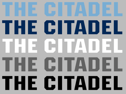 The Citadel Bulldogs Team Name Logo Premium DieCut Vinyl Decal PICK COLOR & SIZE