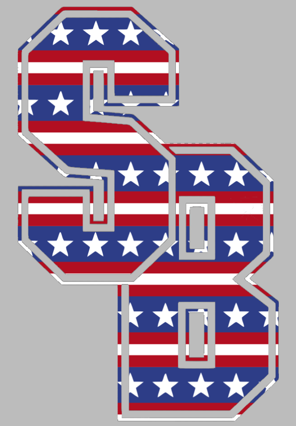 Stonybrook Seawolves Team Logo Stars & Stripes USA American Flag Vinyl Decal PICK SIZE