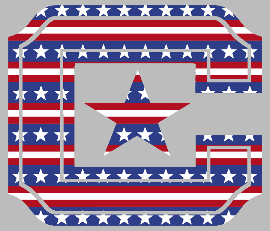The Citadel Bulldogs Team Logo Stars & Stripes USA American Flag Vinyl Decal PICK SIZE