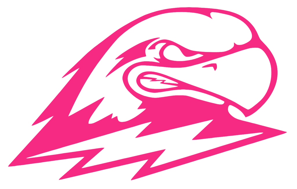 Southern Utah Thunderbirds HOT PINK Team Logo Premium DieCut Vinyl Decal PICK SIZE