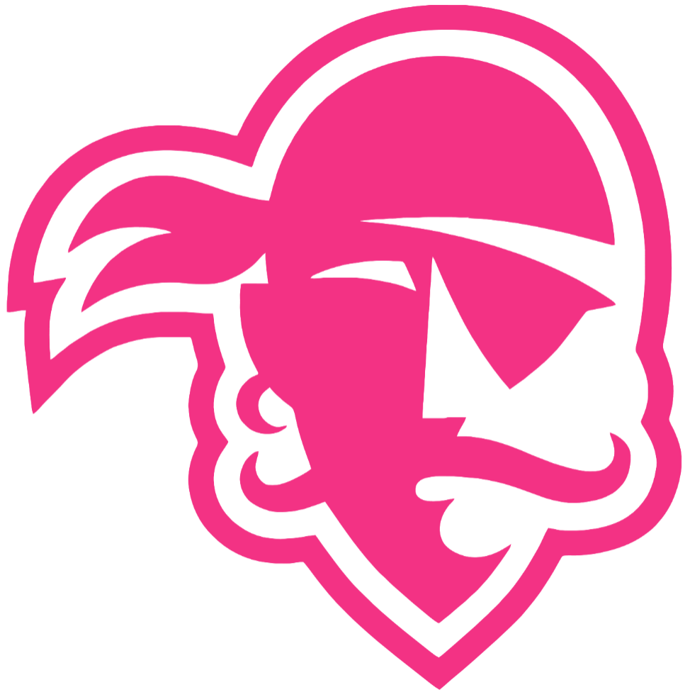 Seton Hall Pirates HOT PINK Team Logo Premium DieCut Vinyl Decal PICK SIZE