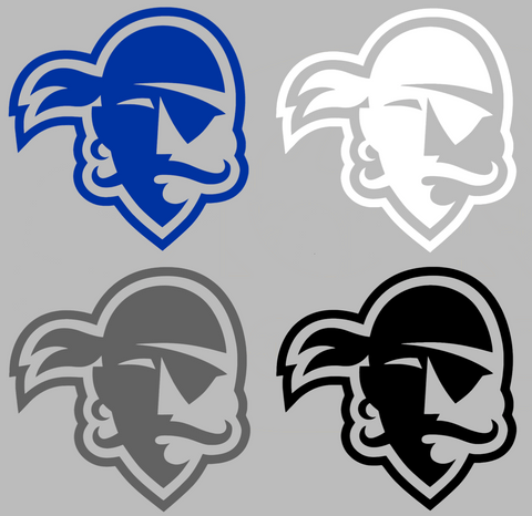 Seton Hall Pirates Team Logo Premium DieCut Vinyl Decal PICK COLOR & SIZE