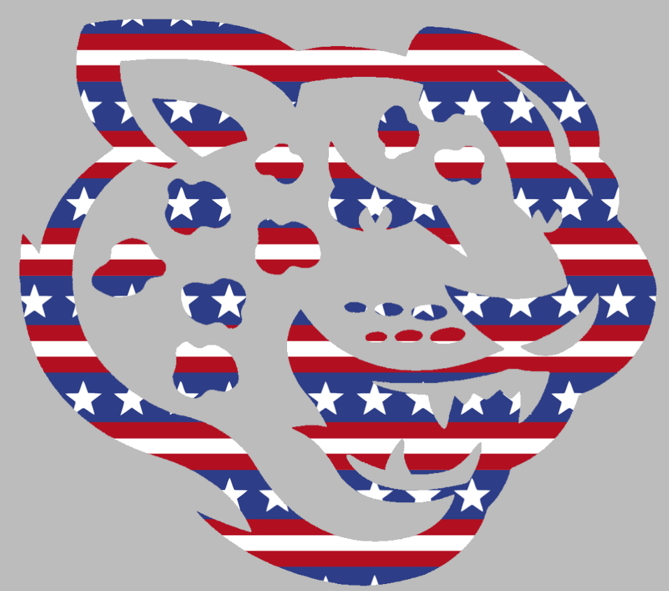 Southern Jaguars Mascot Logo Stars & Stripes USA American Flag Vinyl Decal PICK SIZE