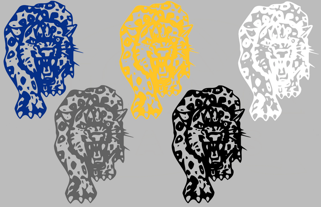 Southern Jaguars Retro Throwbakc Logo Premium DieCut Vinyl Decal PICK COLOR & SIZE