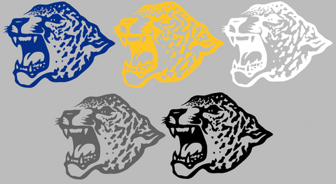 Southern Jaguars Retro Throwbakc Logo Premium DieCut Vinyl Decal PICK COLOR & SIZE