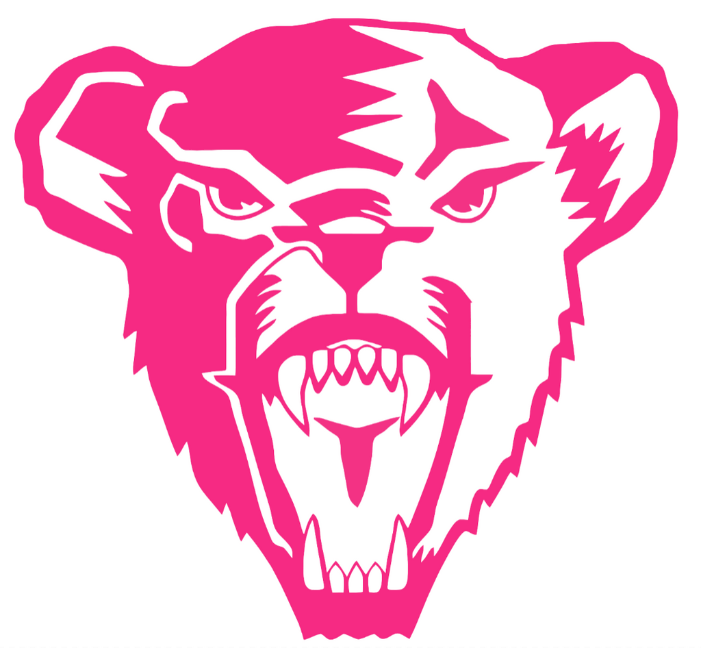 Maine Black Bears HOT PINK Team Logo Premium DieCut Vinyl Decal PICK SIZE