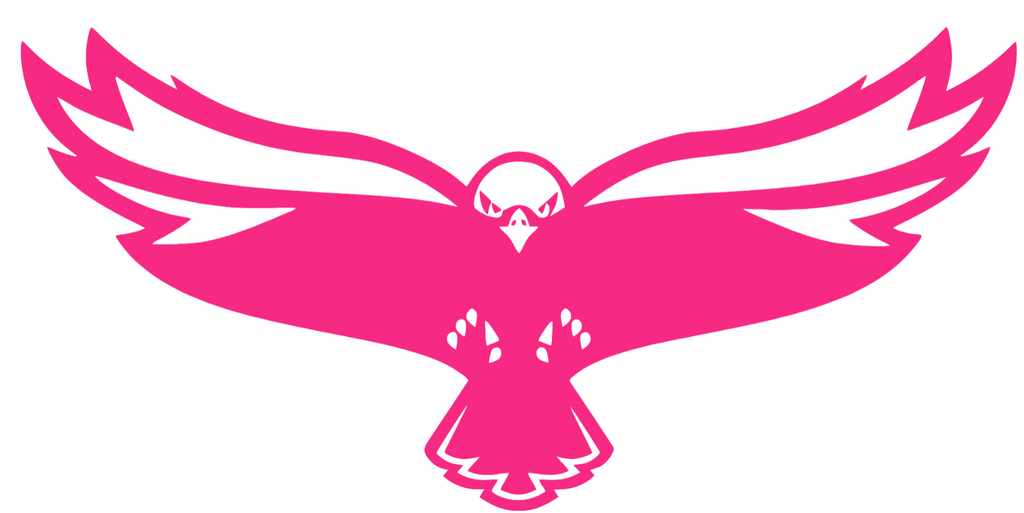 Maryland Eastern Shore Hawks HOT PINK Team Logo Premium DieCut Vinyl Decal PICK SIZE