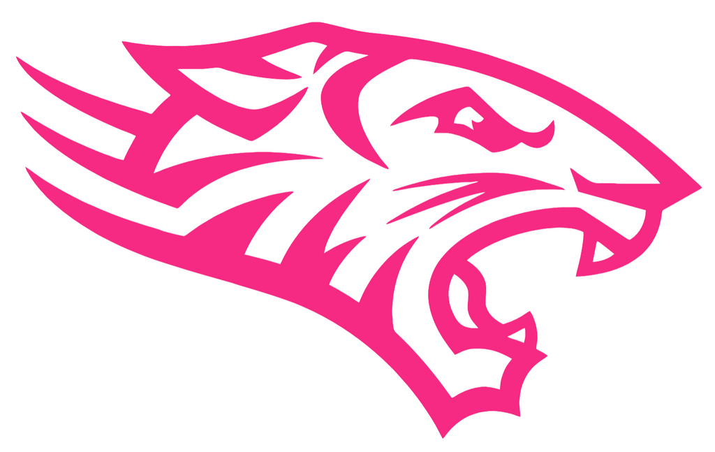 Towson Tigers HOT PINK Team Logo Premium DieCut Vinyl Decal PICK SIZE