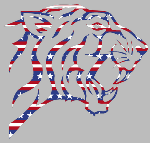 Texas Southern Tigers Mascot Logo Stars & Stripes USA American Flag Vinyl Decal PICK SIZE