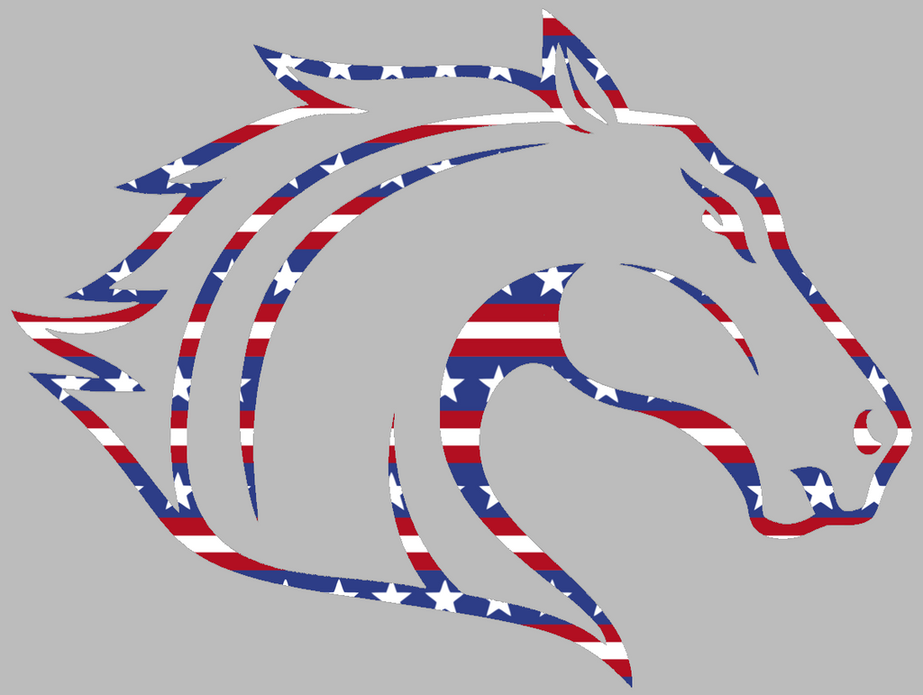 Texas Arlington Mavericks Team Logo Stars & Stripes USA American Flag Vinyl Decal PICK SIZE