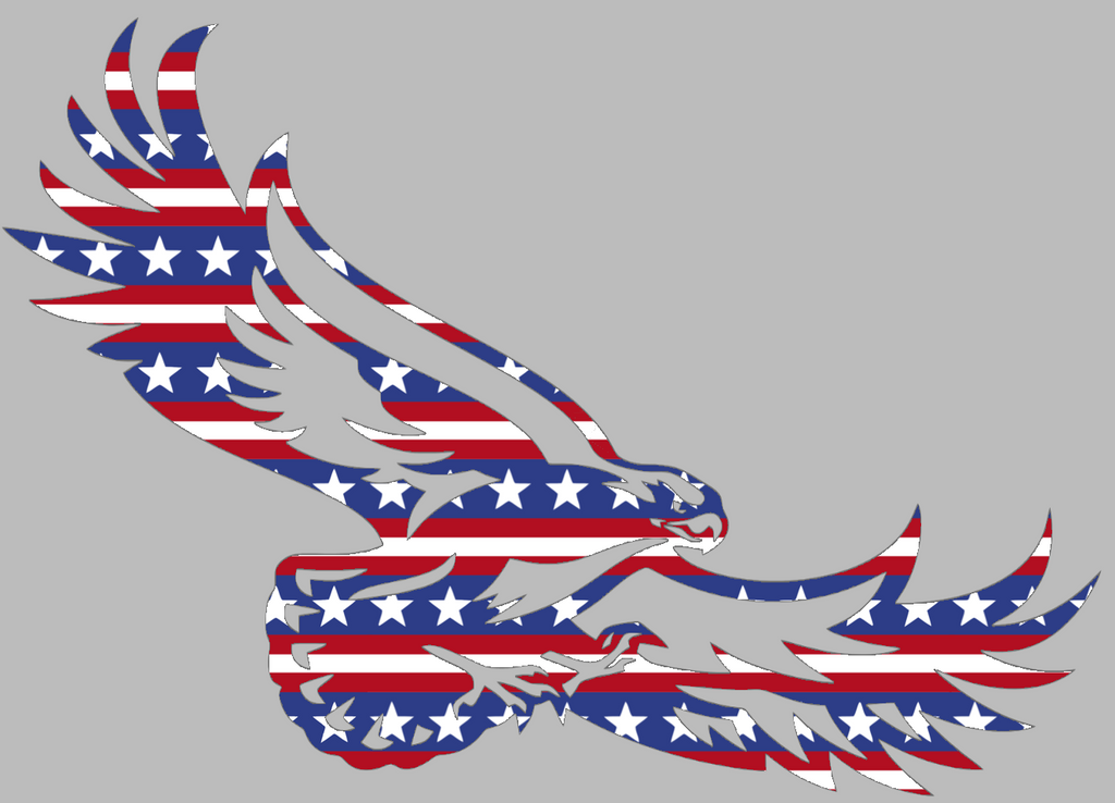 St Joseph Hawks Team Logo Stars & Stripes USA American Flag Vinyl Decal PICK SIZE