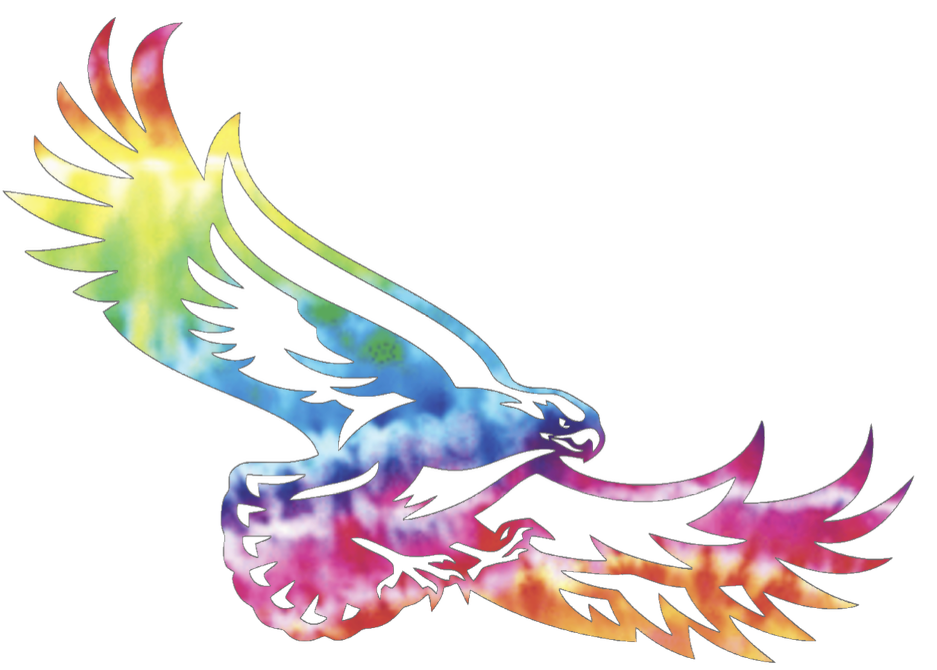 St Joseph Hawks Team Logo Crucial Catch Cancer Tie Dye Vinyl Decal PICK SIZE