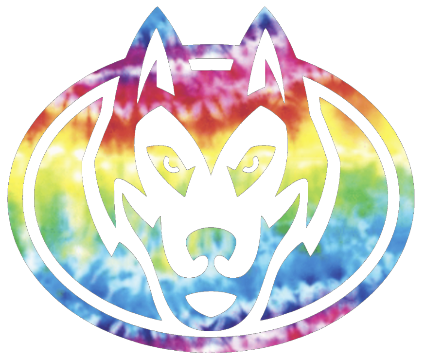 St Cloud State Huskies Mascot Logo Crucial Catch Cancer Tie Dye Vinyl Decal PICK SIZE