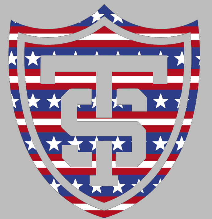 St Thomas Tommies Team Logo Stars & Stripes USA American Flag Vinyl Decal PICK SIZE