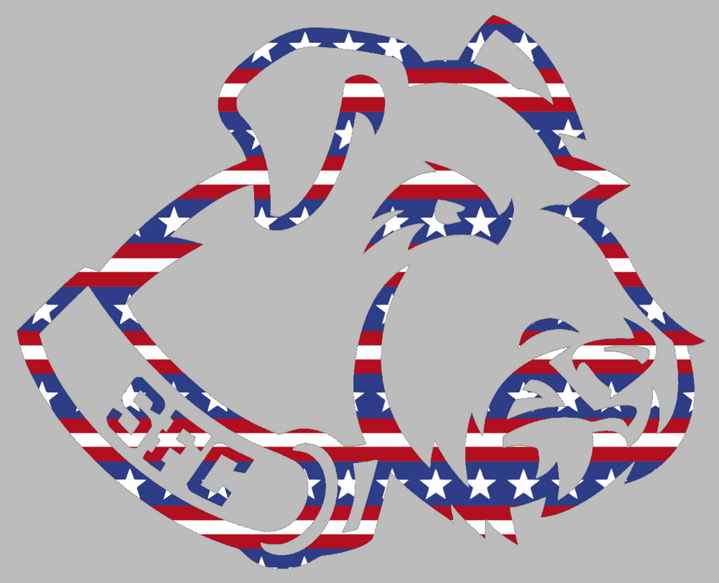 St Francis Terriers Team Logo Stars & Stripes USA American Flag Vinyl Decal PICK SIZE