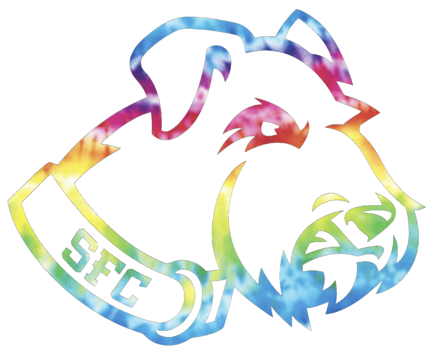 St Francis Terriers Team Logo Crucial Catch Cancer Tie Dye Vinyl Decal PICK SIZE