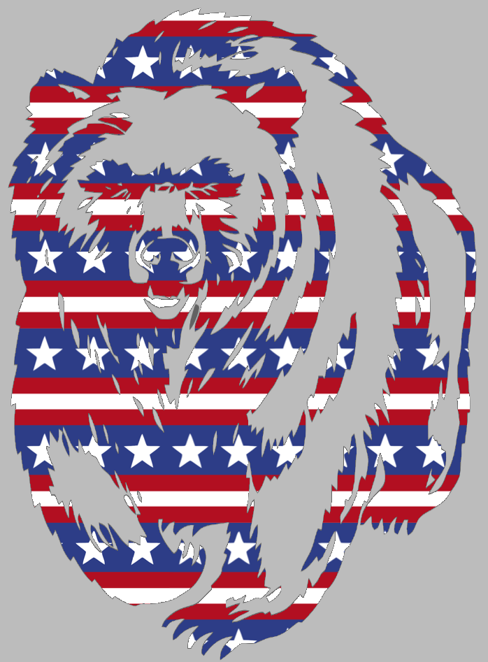 Montana Grizzlies Team Logo Stars & Stripes USA American Flag Vinyl Decal PICK SIZE