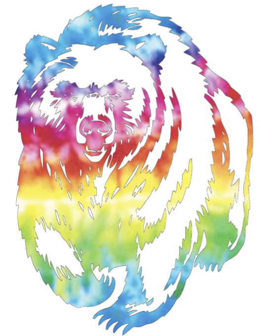 Montana Grizzlies Team Logo Crucial Catch Cancer Tie Dye Vinyl Decal PICK SIZE
