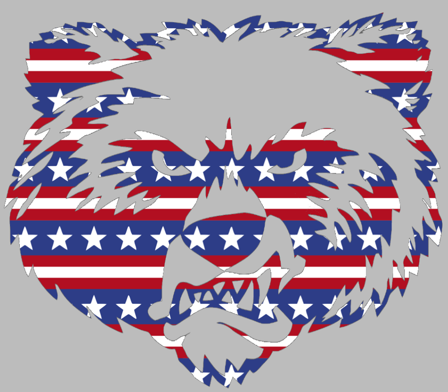 Montana Grizzlies Mascot Logo Stars & Stripes USA American Flag Vinyl Decal PICK SIZE