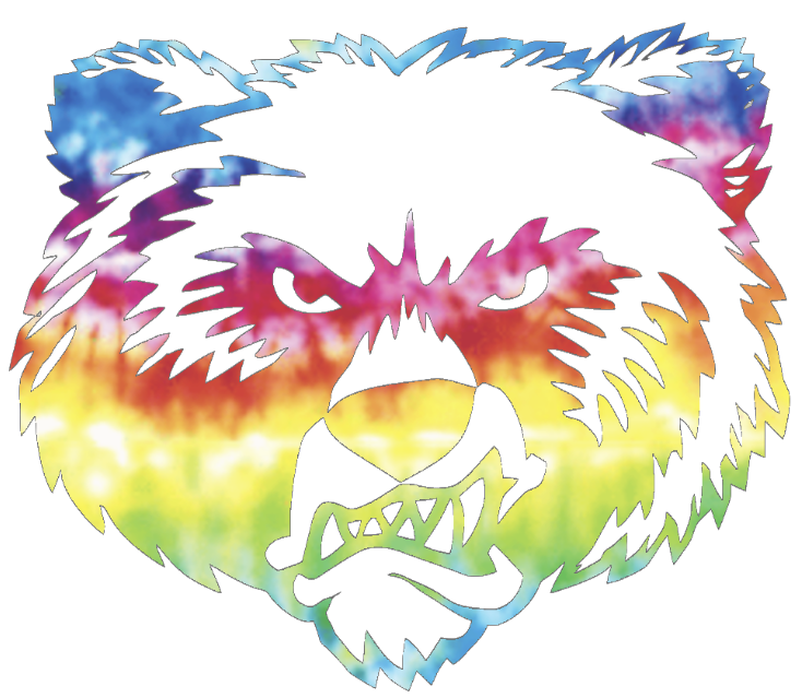 Montana Grizzlies Mascot Logo Crucial Catch Cancer Tie Dye Vinyl Decal PICK SIZE