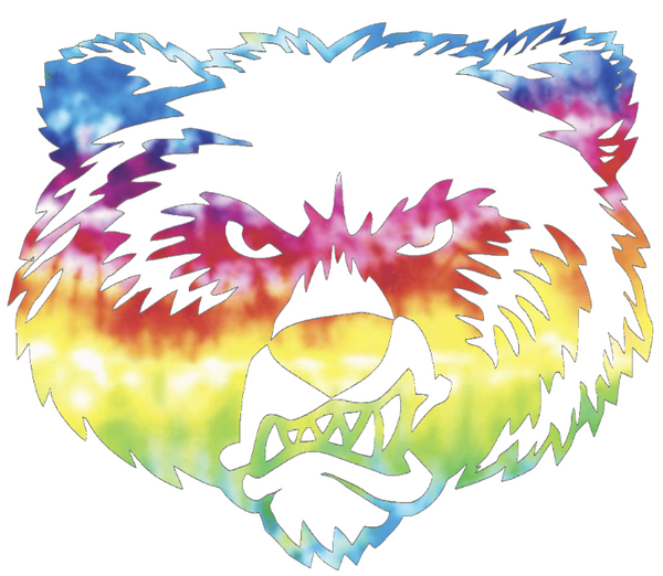 Montana Grizzlies Mascot Logo Crucial Catch Cancer Tie Dye Vinyl Decal PICK SIZE