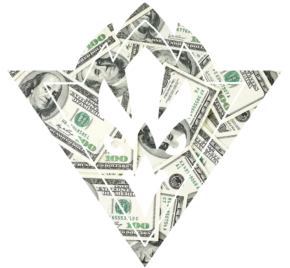 NC Wilmington Seahawks Team Logo Money Print Premium DieCut Vinyl Decal PICK SIZE