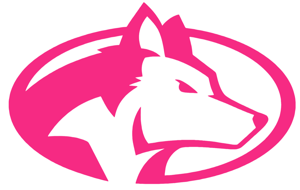 Michigan Tech Huskies HOT PINK Team Logo Premium DieCut Vinyl Decal PICK SIZE