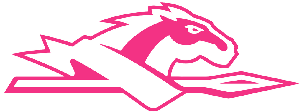 Longwood Lancers HOT PINK Team Logo Premium DieCut Vinyl Decal PICK SIZE