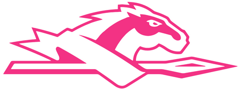 Longwood Lancers HOT PINK Team Logo Premium DieCut Vinyl Decal PICK SIZE