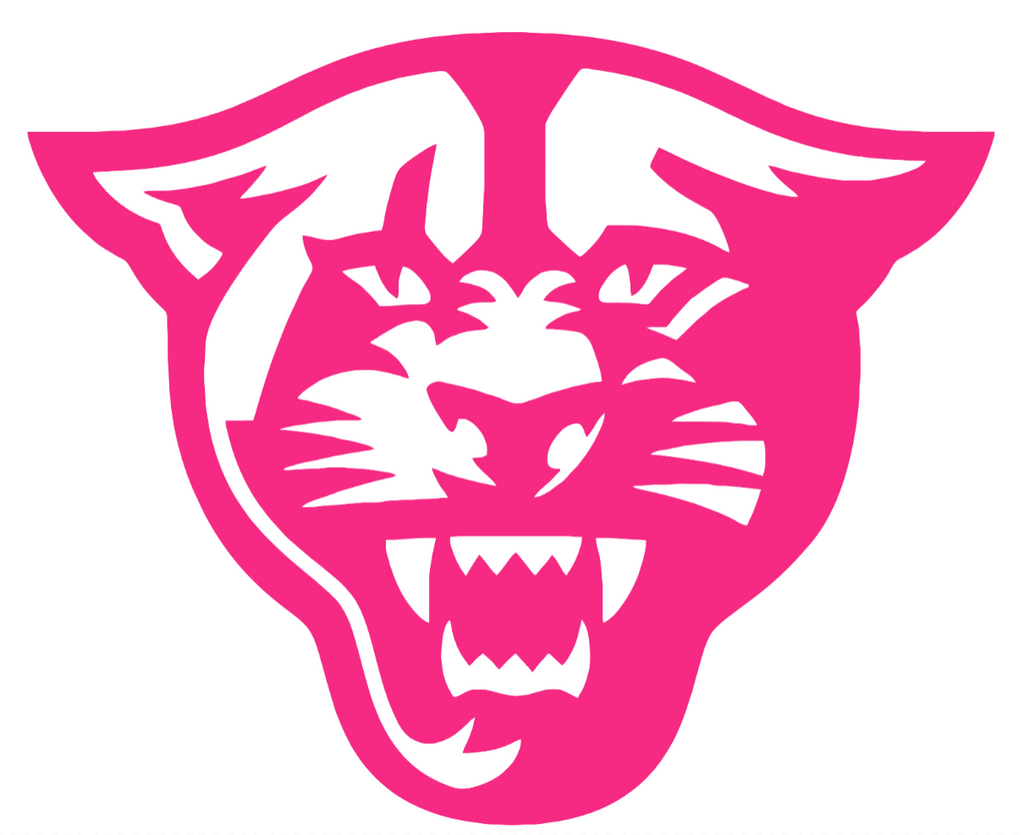 Georgia State Panthers HOT PINK Team Logo Premium DieCut Vinyl Decal PICK SIZE