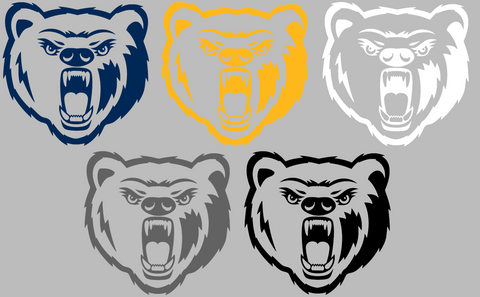 Northern Colorado Bears Retro Throwback Logo Premium DieCut Vinyl Decal PICK COLOR & SIZE