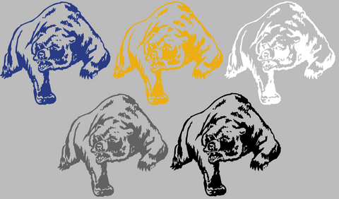 Northern Colorado Bears Retro Throwback Logo Premium DieCut Vinyl Decal PICK COLOR & SIZE