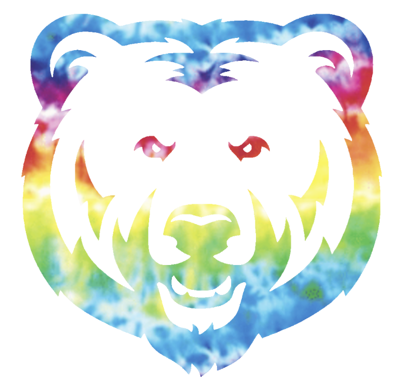 Northern Colorado Bears Mascot Logo Crucial Catch Cancer Tie Dye Vinyl Decal PICK SIZE