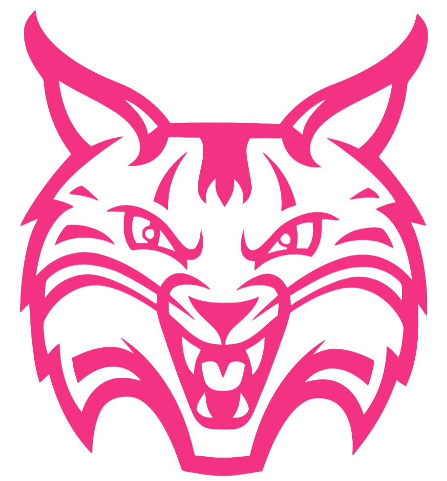 Quinnipiac Bobcats HOT PINK Team Logo Premium DieCut Vinyl Decal PICK SIZE