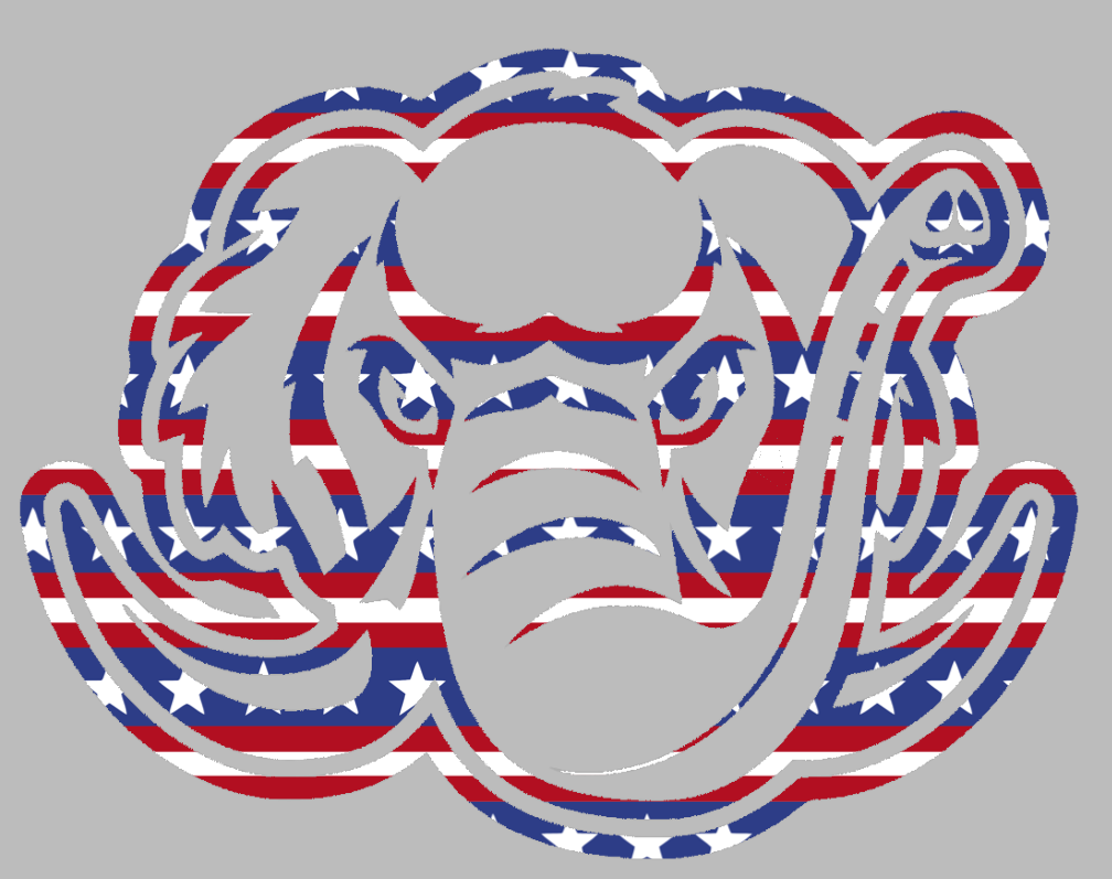 Purdue Fort Wayne Mastodons Team Logo Stars & Stripes USA American Flag Vinyl Decal PICK SIZE