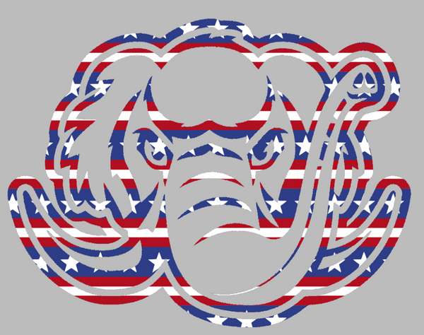 Purdue Fort Wayne Mastodons Team Logo Stars & Stripes USA American Flag Vinyl Decal PICK SIZE