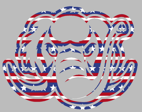 Purdue Fort Wayne Mastodons Team Logo Stars & Stripes USA American Flag Vinyl Decal PICK SIZE