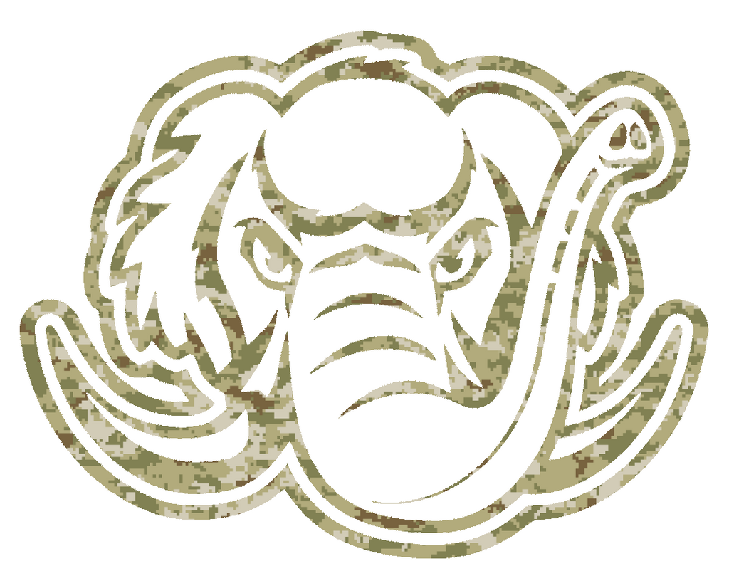Purdue Fort Wayne Mastodons Team Logo Salute to Service Camouflage Camo Vinyl Decal PICK SIZE