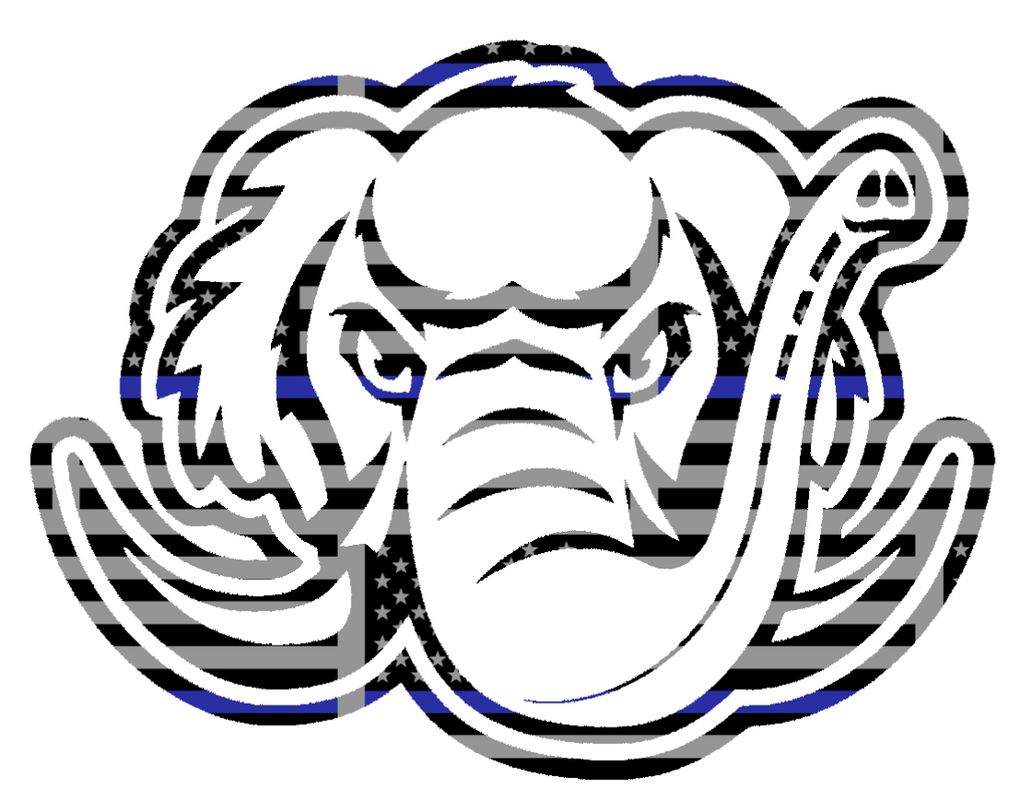Purdue Fort Wayne Mastodons Team Logo Thin Blue Line American Flag Premium DieCut Vinyl Decal PICK SIZE