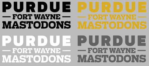 Purdue Fort Wayne Mastodons Team Name Logo Premium DieCut Vinyl Decal PICK COLOR & SIZE