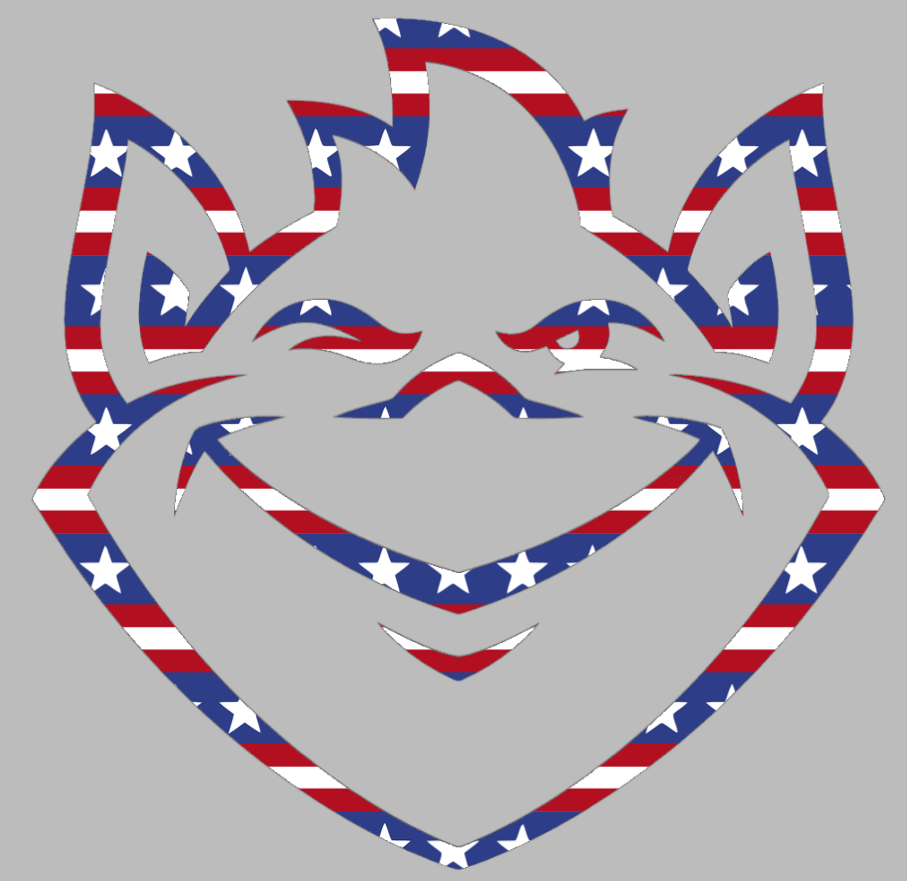 Saint Louis Billikens Team Logo Stars & Stripes USA American Flag Vinyl Decal PICK SIZE