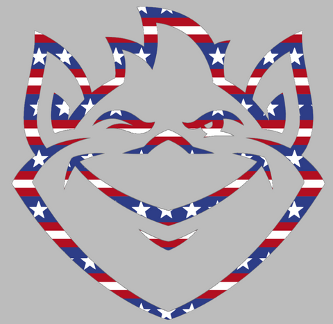 Saint Louis Billikens Team Logo Stars & Stripes USA American Flag Vinyl Decal PICK SIZE